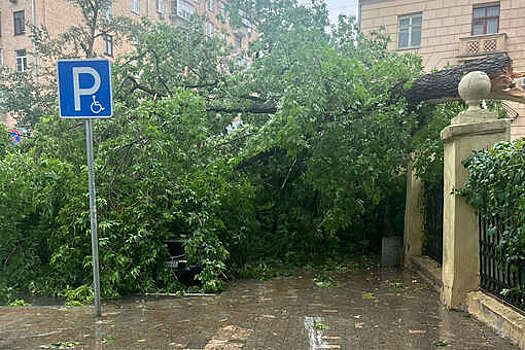 Воробьев: в Подмосковье более 90 населенных пунктов остались без света