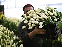 Женщины назвали любимый подарок ко Дню всех влюбленных