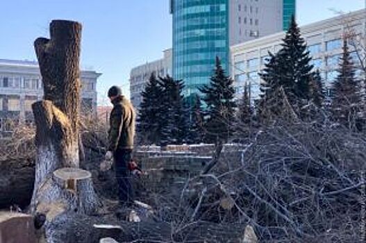 У Публичной библиотеки в Челябинске спилили деревья
