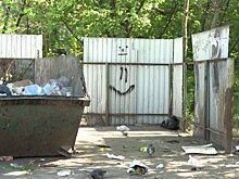 Ситуацию с мусорными площадками в Пензе назвали вакханалией