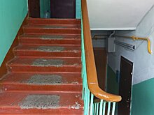 20-летние пензенцы ночью стучали по дверям квартир и били машины