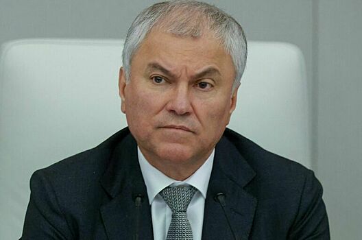Володин: Необходимо повысить эффективность расходования бюджетных средств