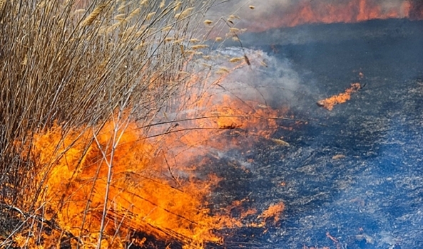 В районе Краснослободска тушат крупное возгорание камыша