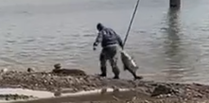 Житель Астрахани поймал огромную рыбу в центре города