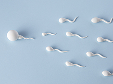 Как устроен банк донорской спермы: стоимость, технологии, безопасность