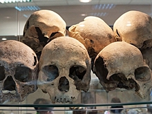 В петербургском озере нашли тело любителя подводной охоты