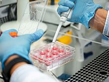 Разработан новый препарат от болезни Паркинсона