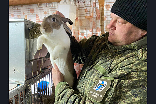 В Новосибирской области 64 участника СВО стали предпринимателями с господдержкой