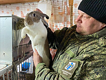В Новосибирской области 64 участника СВО стали предпринимателями с господдержкой