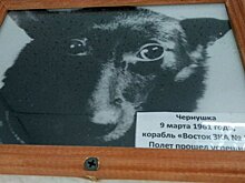 День в истории: космонавт Чернушка в Заинске, Транссибирская железная дорога и открытие Бразилии