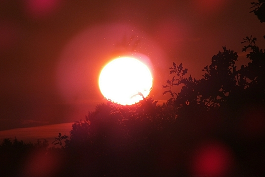 Ученый сообщил о возможном изменении мест полюсов Земли