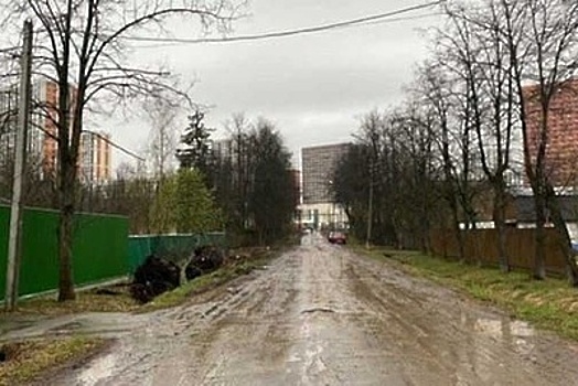 Незаконную вырубку липовой аллеи пресекли в Одинцовском округе