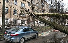 В Москве создадут мощную систему мониторинга погодных явлений