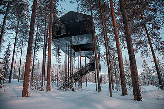 Рядом с Северным полярным кругом создали отель «на деревьях»