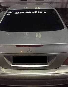 Под Кингисеппом в тонированной иномарке с наклейками Навального обнаружили ножи и оружие