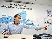 Skylink нашел нишу