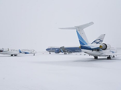 Прокуратура контролирует соблюдение прав пассажиров в аэропортах Москвы