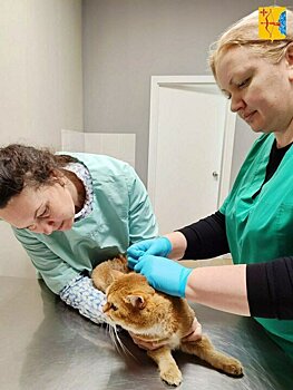 Ветеринарная лечебница в Слободском открылась в новом здании