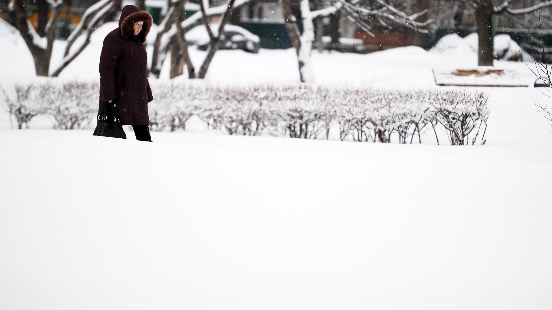 ��������&nbsp; ����������� ������������� �����