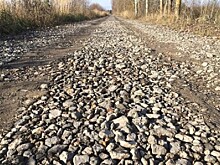 Незаконную дорогу из отходов нашли в Подмосковье