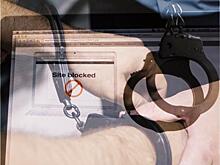 Распространение порнографии в Интернете: кому грозит до 6 лет лишения свободы?