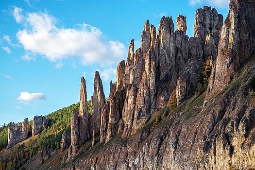 Резиденты ТОР "Якутия" инвестировали в экономику региона свыше 12,7 млрд рублей