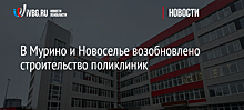 В Мурино и Новоселье возобновлено строительство поликлиник