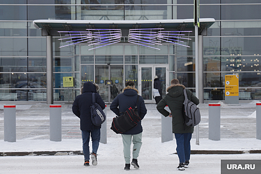 Работники аэропорта Кольцово пожаловались на засилье бездомных