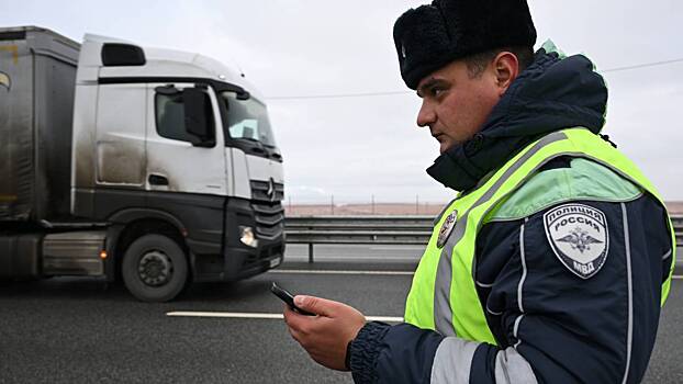 В Приморье гаишники устроили погоню за пешеходом-нарушителем