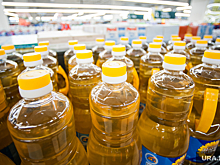 Актив жены курганского депутата облдумы Исламова в два раза сократил прибыль