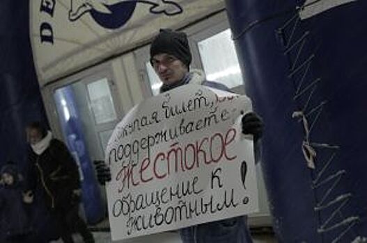 Белгородские активисты попросили Госдуму запретить передвижные дельфинарии
