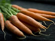 Иммунолог назвала неожиданные последствия переедания моркови