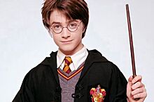 Отсылки к Гарри Поттеру в игре «Хогвартс»: Тайная комната, василиск, Рон Уизли, снитч, Выручай-комната и другие