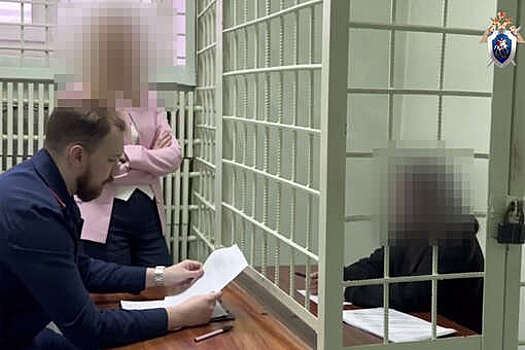 Участницу фейкового похищения подростка в Красноярске обвинили в мошенничестве