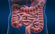 Трансплантация кала поможет избавиться от воспалений кишечника