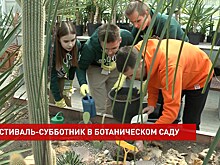 Фестиваль-субботник в Ботаническом саду