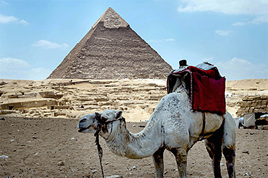 Турпоток в Египет упал почти вдвое