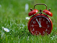 Часики тикают для хлорпирифоса в США и в конце июня прозвучит вердикт