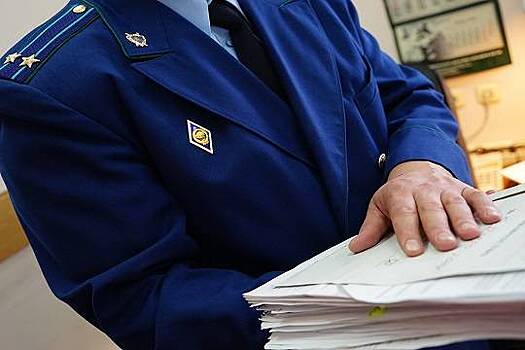 В Саратовской области сотрудники одного из управлений пенсионного фонда скрыли в декларирациях часть недвижимости