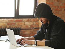Россиянам назвали популярные виды мошенничества в Сети в 2024 году