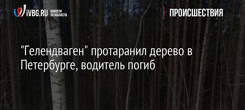 "Гелендваген" протаранил дерево в Петербурге, водитель погиб