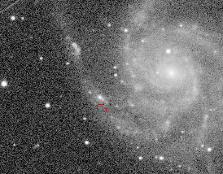 Нижегородский астроном-любитель впервые заснял вспышку сверхновой звезды