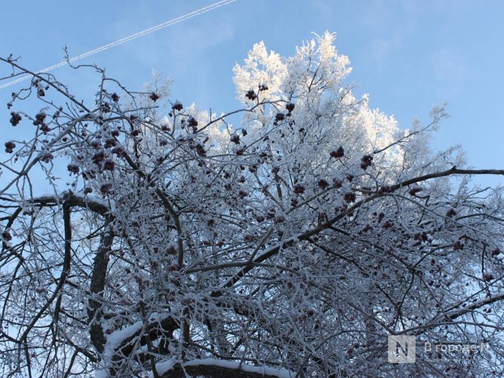 Циклон «Фрэнсис» завалит снегом Нижегородскую область