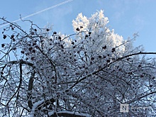 Циклон «Фрэнсис» завалит снегом Нижегородскую область