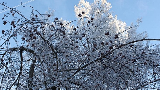 Циклон «Фрэнсис» завалит снегом Нижегородскую область