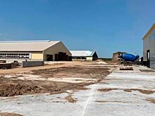 За последнюю пятилетку производство сырого молока в Рязанской области выросло на 37%