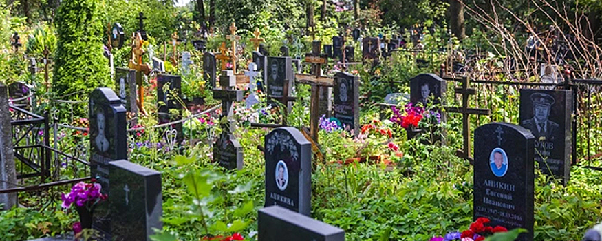 Администрация Ярославля пока не приступила к созданию нового кладбища
