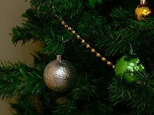 Пензенцам посоветовали провести праздники дома