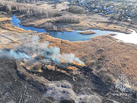 20 пожаров произошло в Нижегородской области за сутки