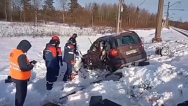 Появились кадры с места гибели водителя, не заметившего тепловоз под Петербургом